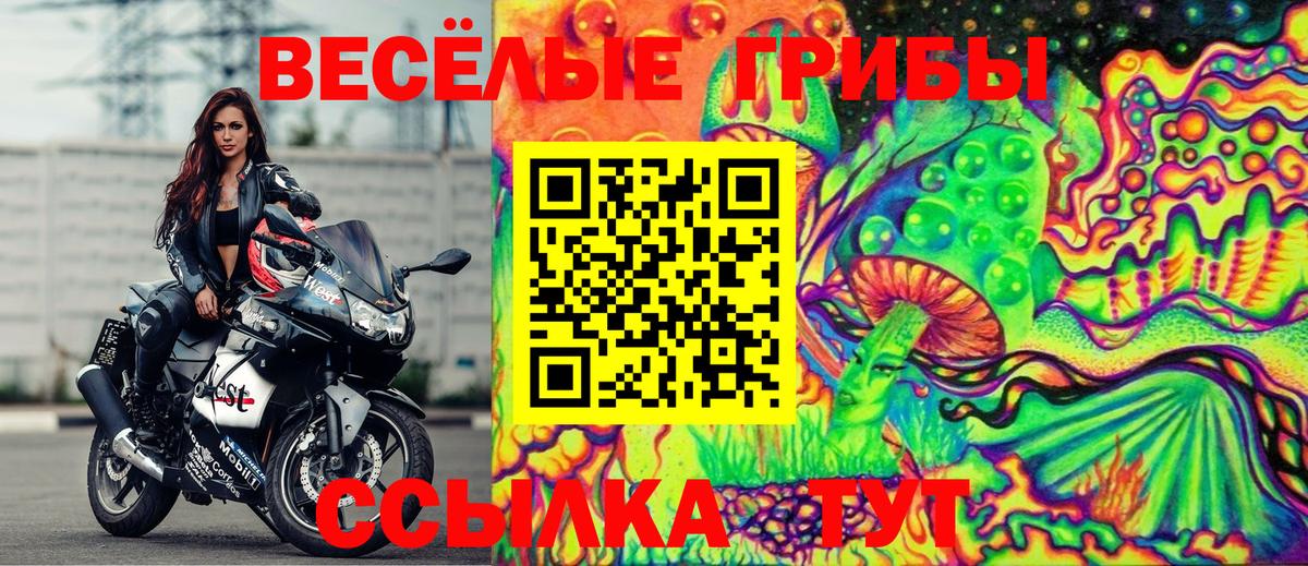 Галлюциногенные грибы GOLDEN TEACHER Челябинск