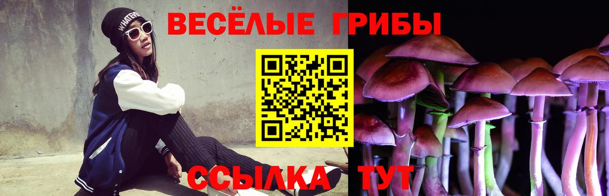 Галлюциногенные грибы GOLDEN TEACHER  Псилоцибиновые грибы прущие грибы  Вход с VPN  Челябинск 